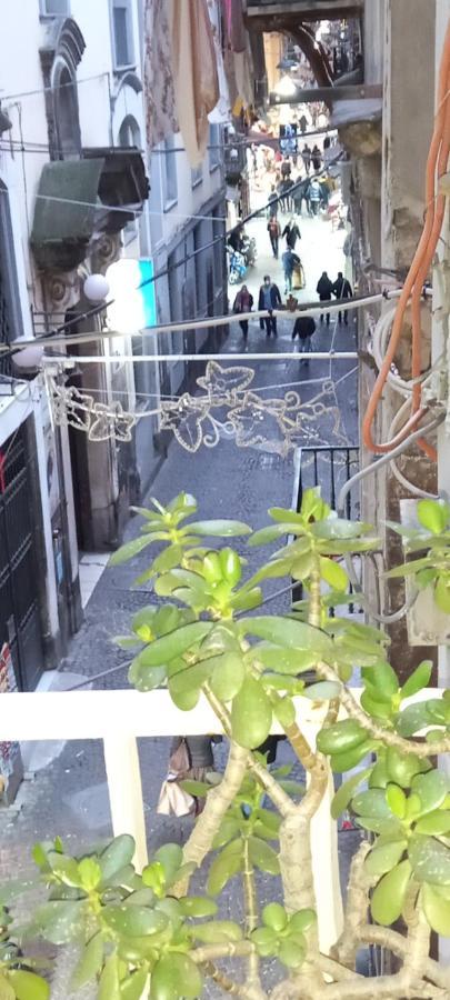 Casa San Biagio 1964 Spaccanapoli Apartment Bagian luar foto